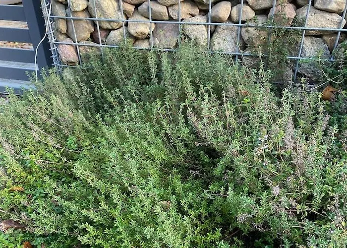 By Wise Ka With Sauna Сasa de vacaciones